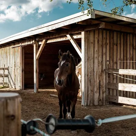 Suedhof Doebbrick - Fuer Familienurlaub Apartment *