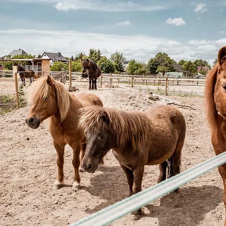 Apartment Suedhof Doebbrick - Fuer Familienurlaub