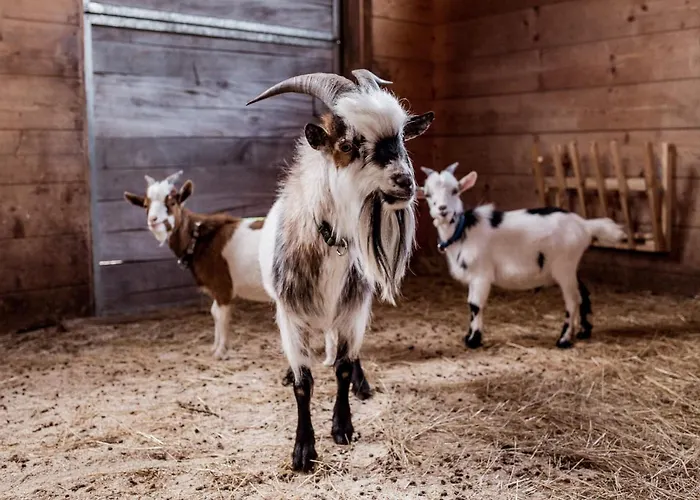 דירה Suedhof Doebbrick - Fuer Familienurlaub *