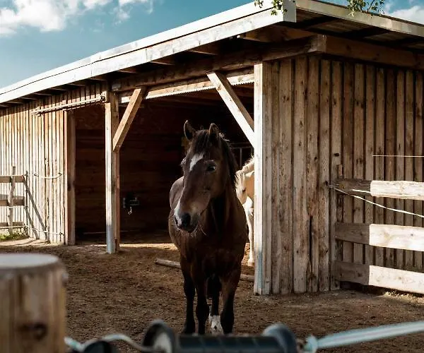 Suedhof Doebbrick - Fuer Familienurlaub Daire *