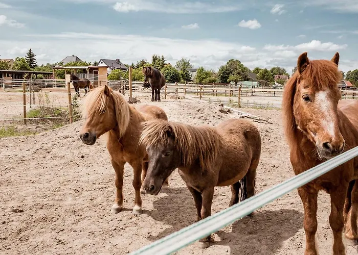 Daire Suedhof Doebbrick - Fuer Familienurlaub
